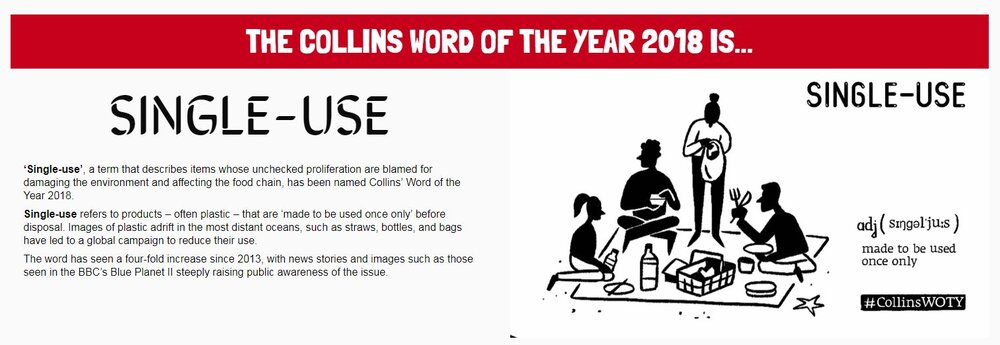 Collins Word Of The Year 2018.JPG
