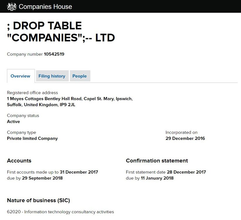 Companies House Company Name.jpg
