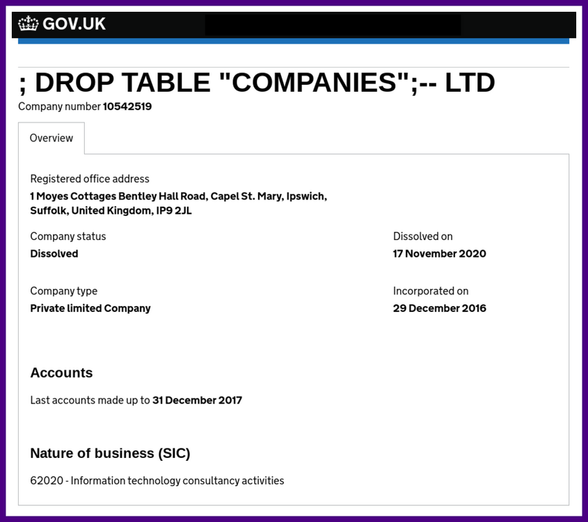 Companies House Website Snapshot 04.08.2023.png