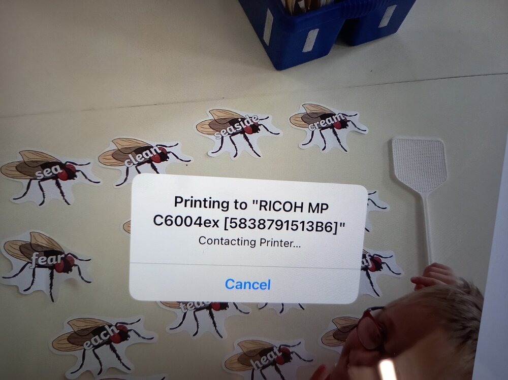 Contacting Printer.jpg