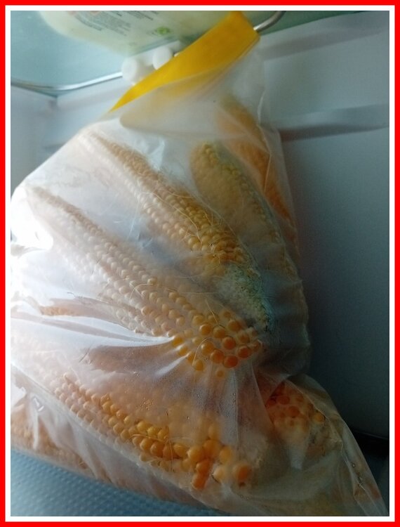 Corn In The Fridge.jpeg