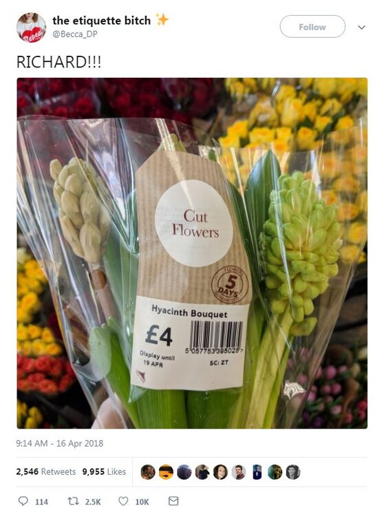 Cut Flowers.JPG