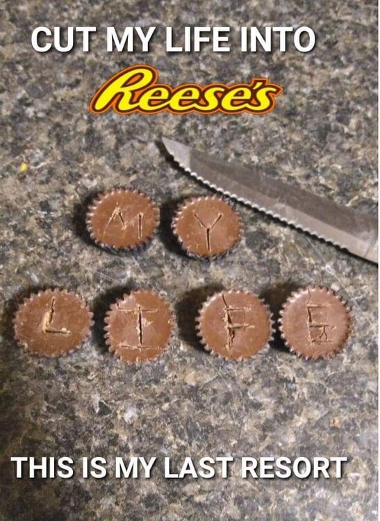 Cut My Life Into Reece's.jpg