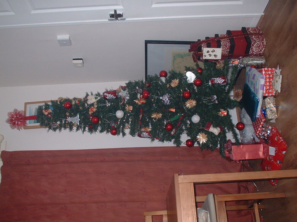 DSCF0051.JPG