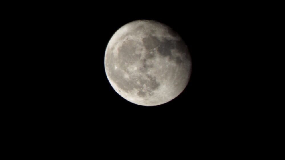 DSCF0262.JPG