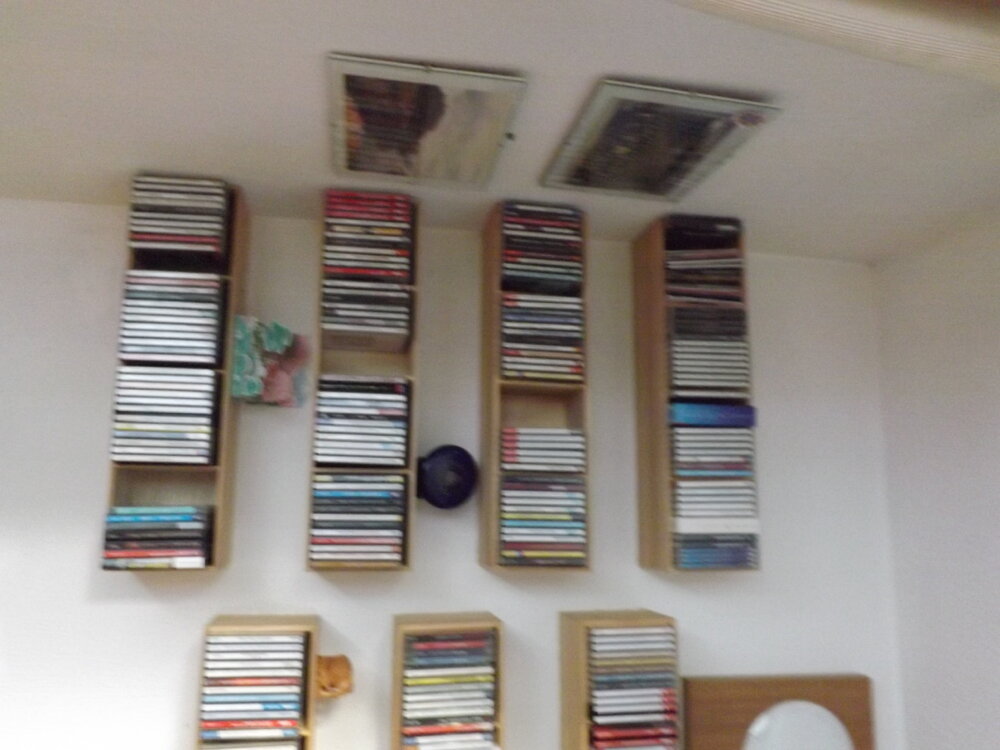 DSCF2078.jpg
