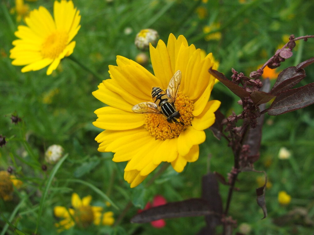 DSCF5639.jpg
