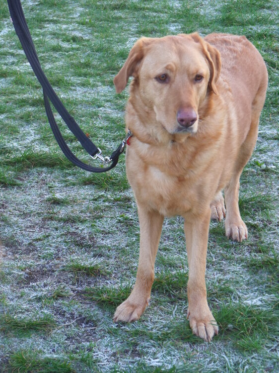 DSCF6373.jpg