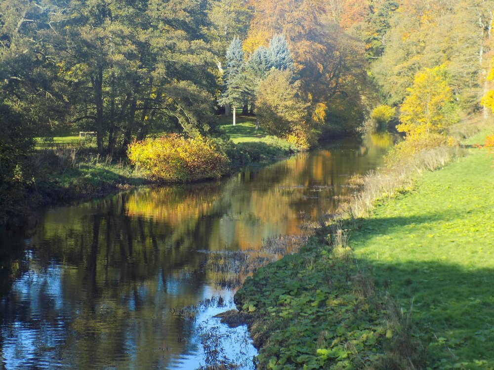 DSCN1311-min.jpg