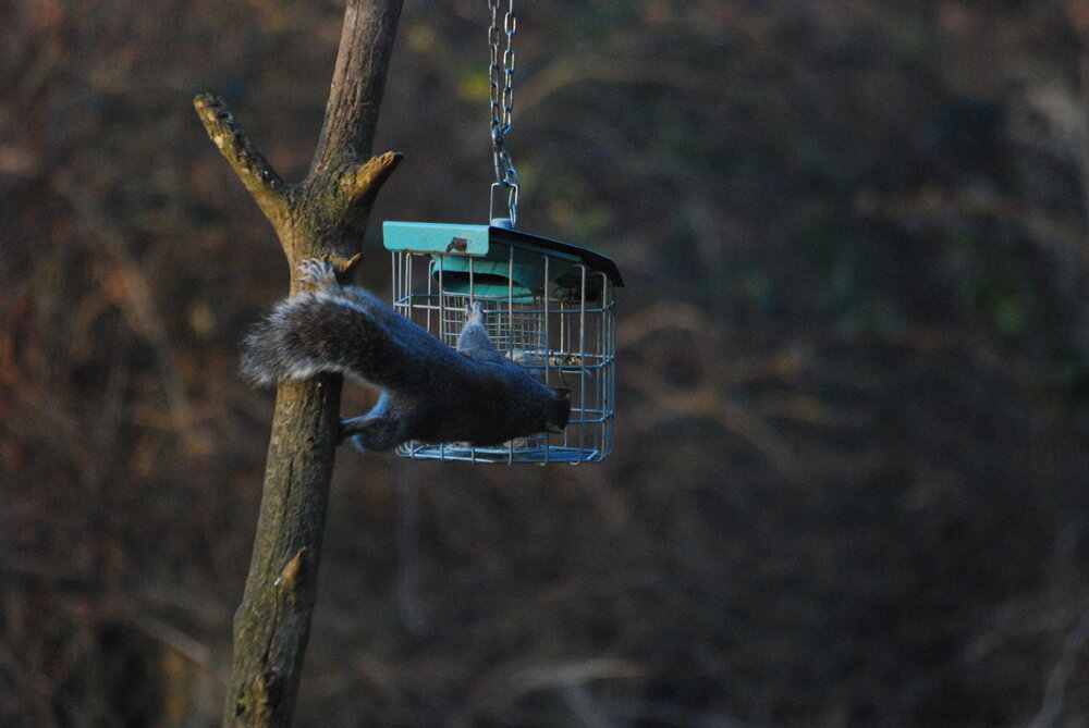 DSC_0259.jpg