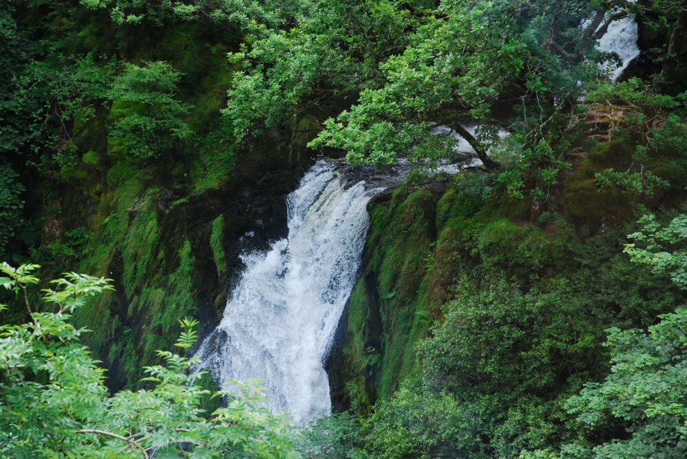 DSC_1683.JPG