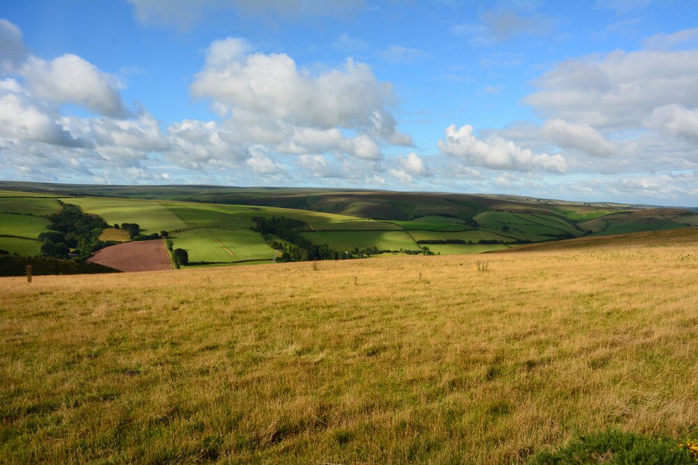 DSC_2784.jpg