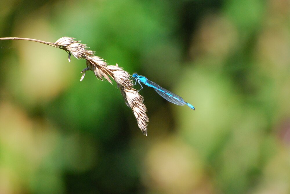 DSC_3659.JPG