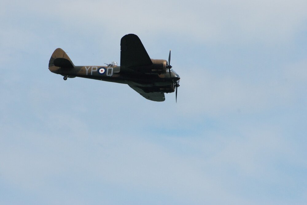 DSC_4134.JPG