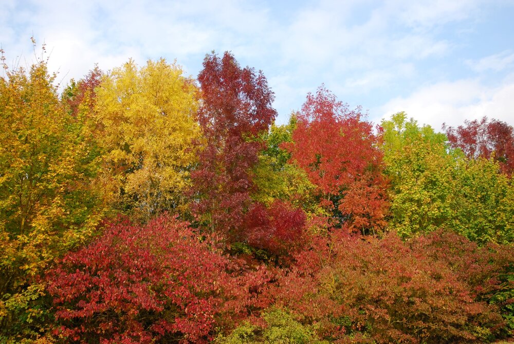 DSC_5431.JPG