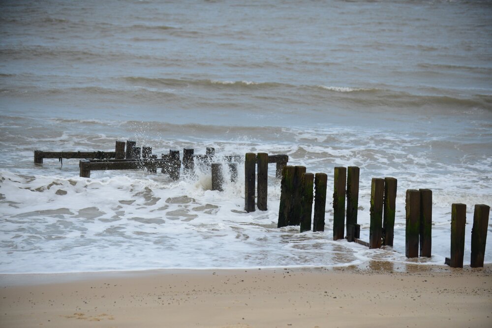 DSC_5805.jpg