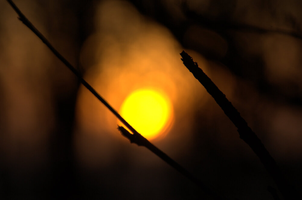 DSC_6641.jpg