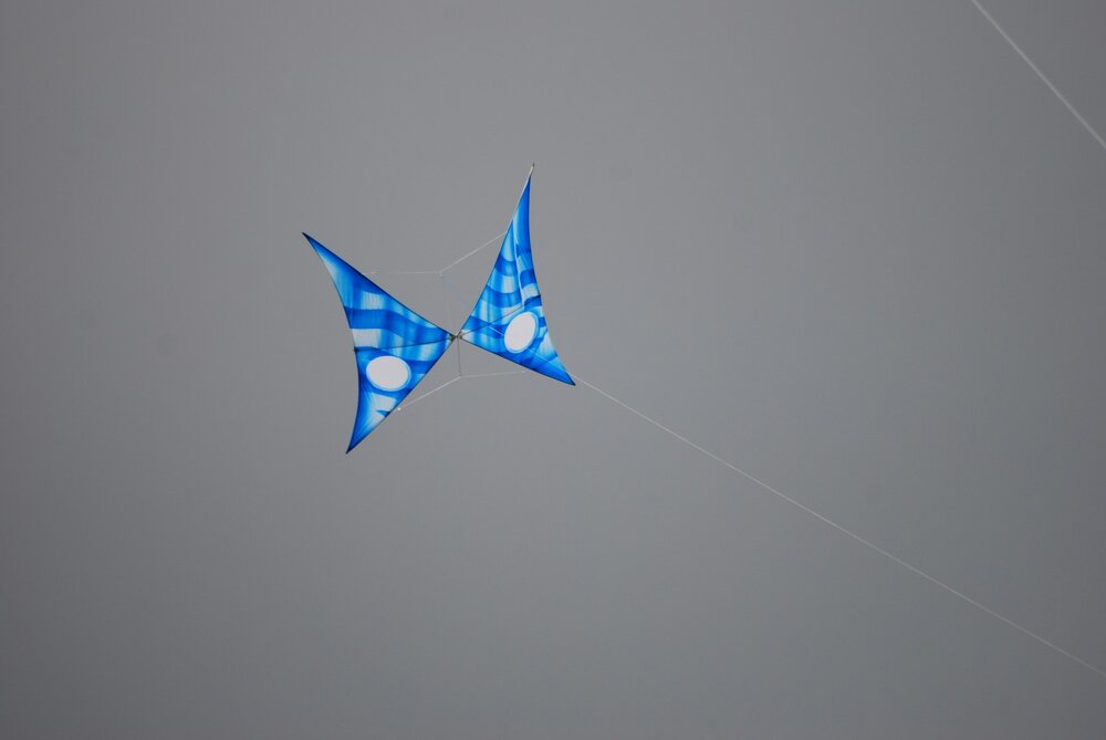 DSC_6916.JPG