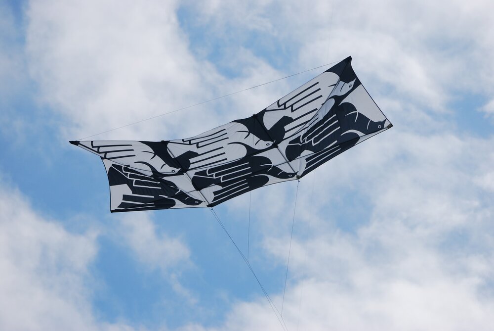 DSC_6934.JPG