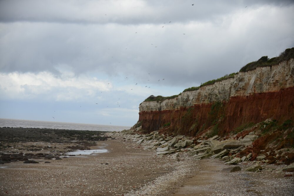 DSC_8994.jpg