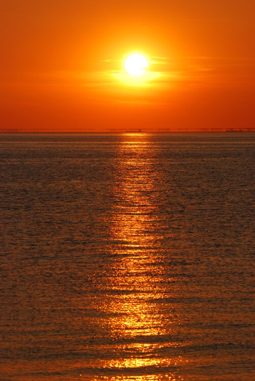 DSC_9362.jpg