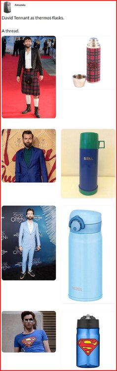 David Tennant as thermos flasks 1.jpg