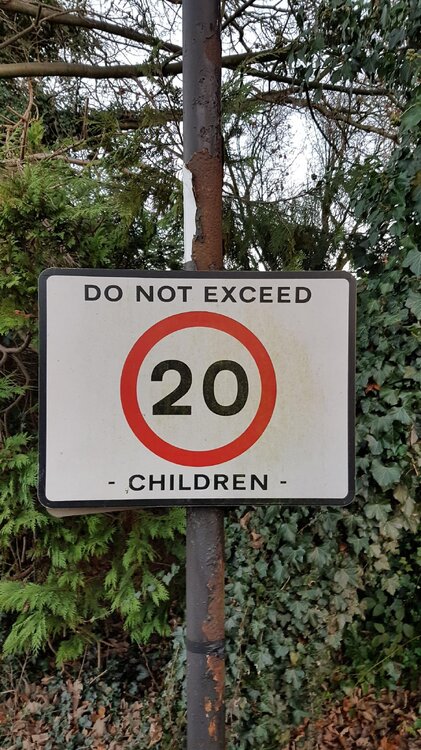 Do Not Exceed 20 Children.jpg