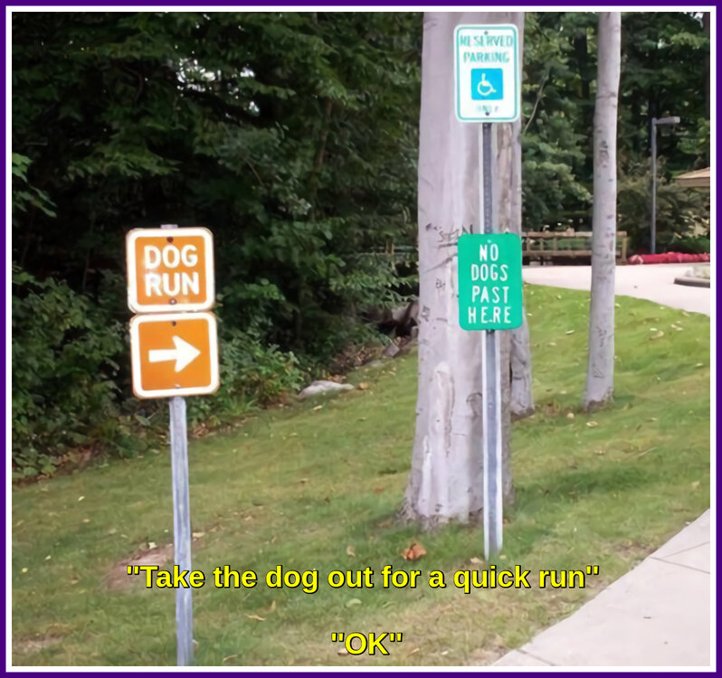 Dog Run.jpeg