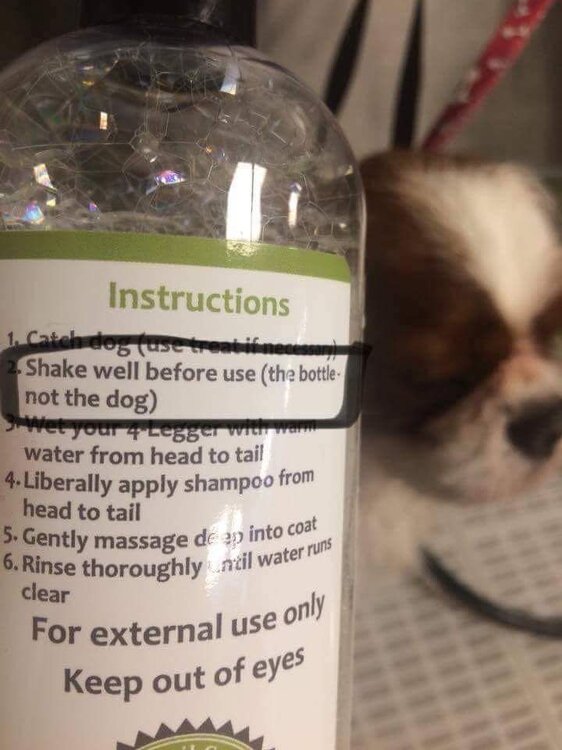Dog Shampoo Instructions.jpg