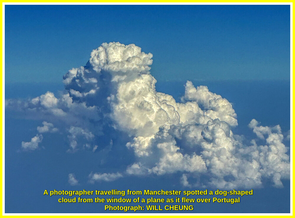 Doggy Cloud.jpg