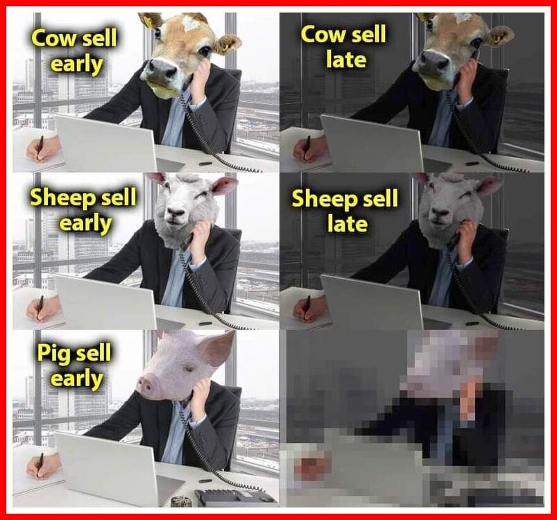 Don't get it - Say it out loud.jpeg