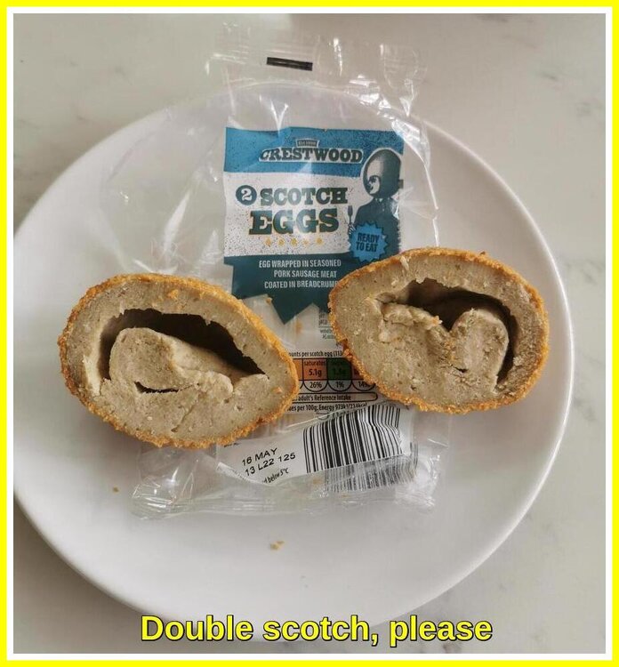 Double Scotch.jpeg