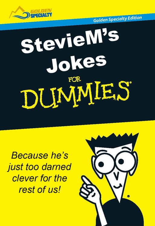 Dummies Cover_Page_1.png