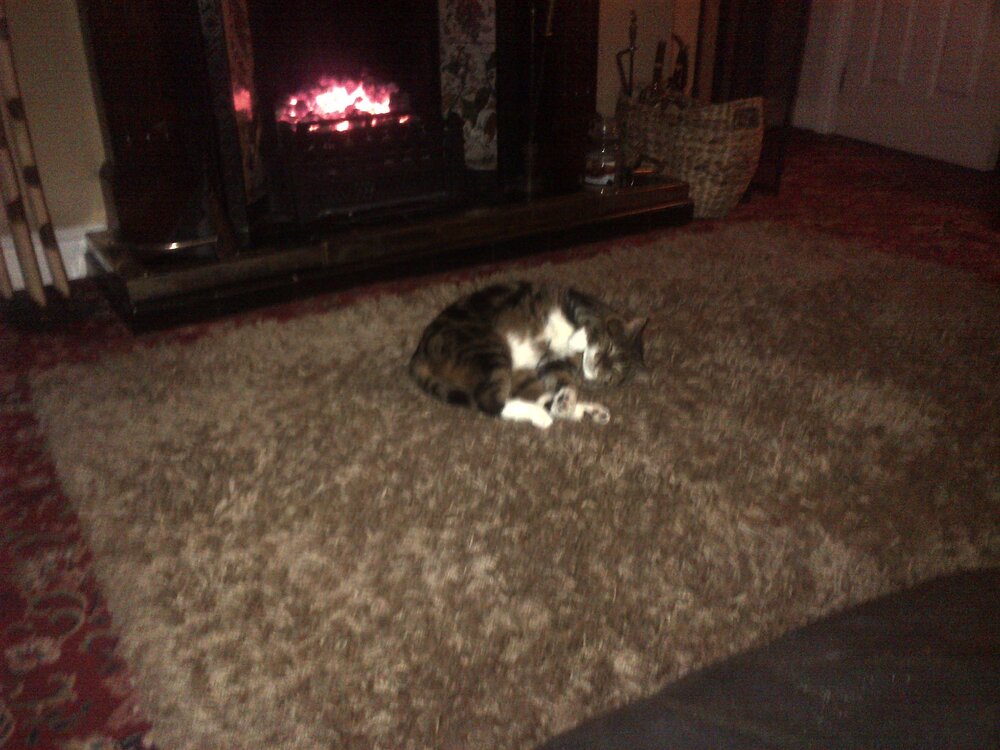 Durham-20130111-00193.jpg
