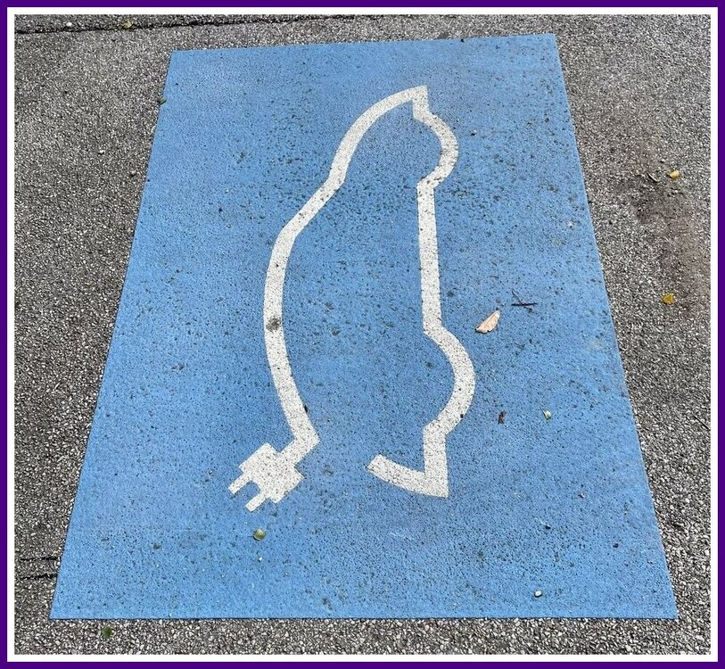 Electric Cat Charging.jpeg