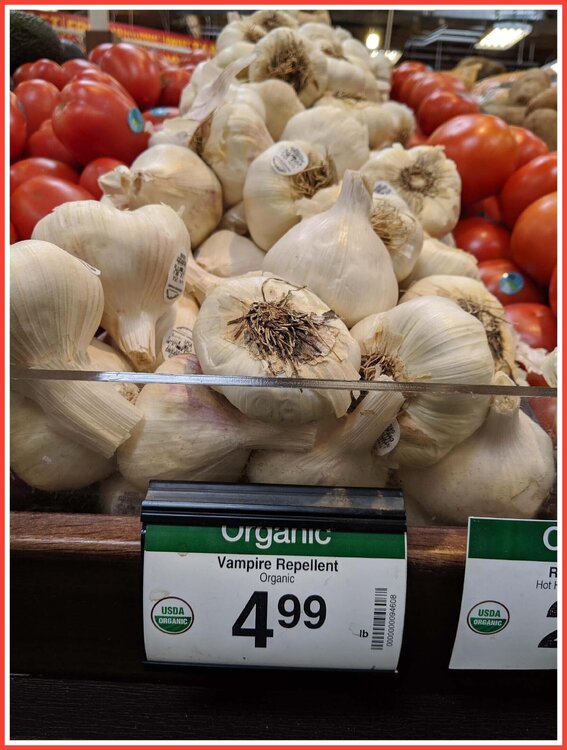Elephant Garlic.jpeg