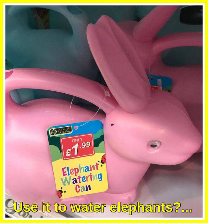 Elephant Watering Can.jpeg