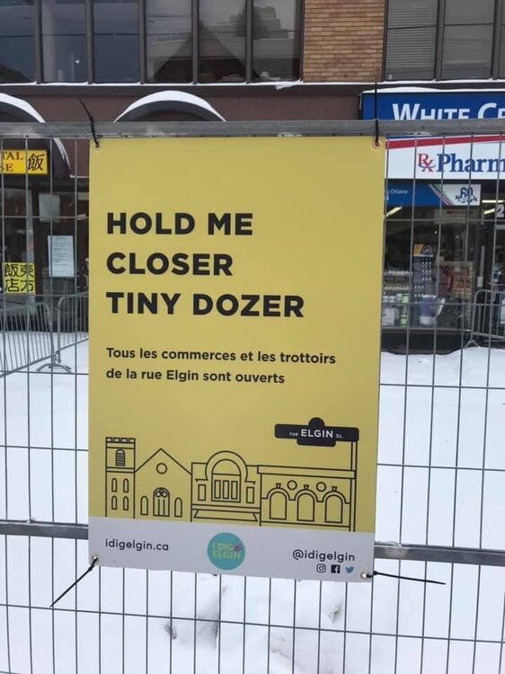 Elgin Street 3.jpg