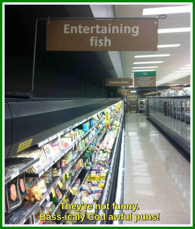 Entertaining Fish.jpeg