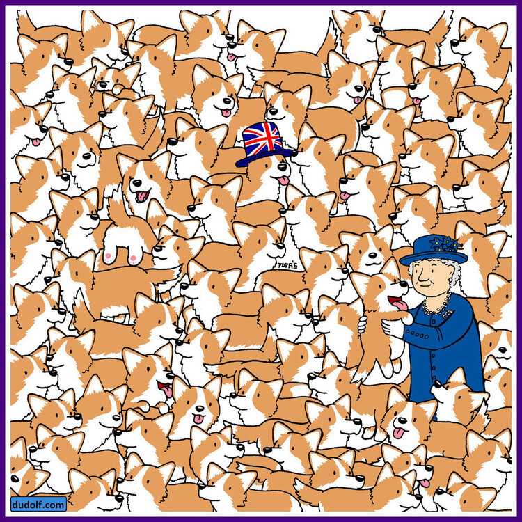 Find The Carbs In The Corgis.jpeg