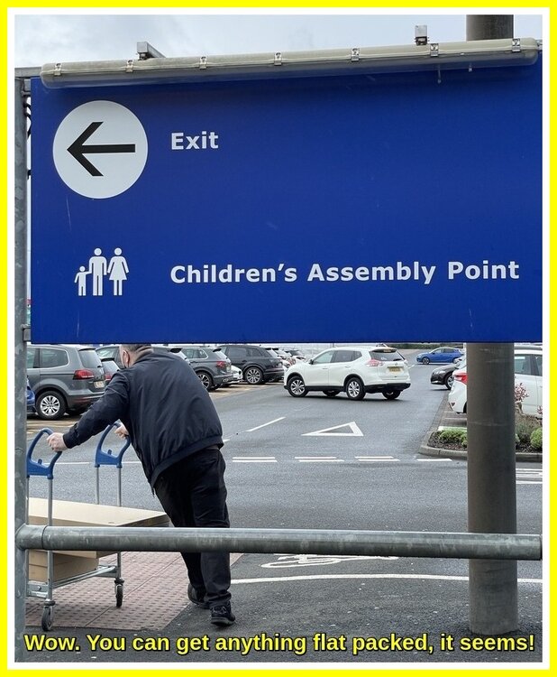 Flat Pack Kids.jpeg