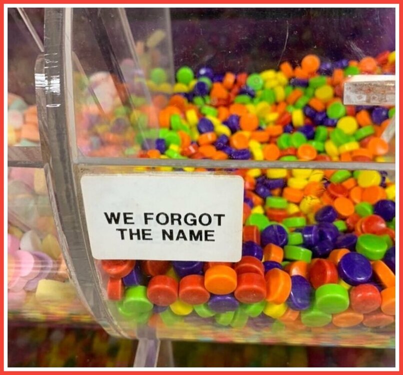 Forgot The Name.jpeg