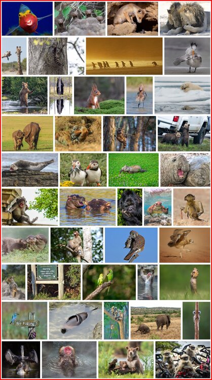 Gallery of Winners and Finalists 2020 Finalists.jpg