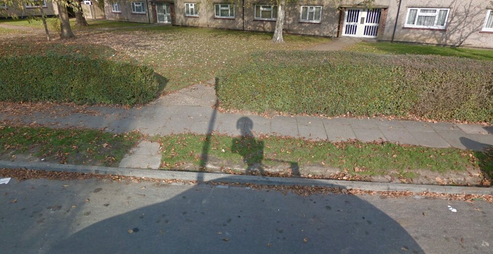 Google Maps Shadow Of A Dog Stadning On Hind Legs Playing An Accordian.jpg