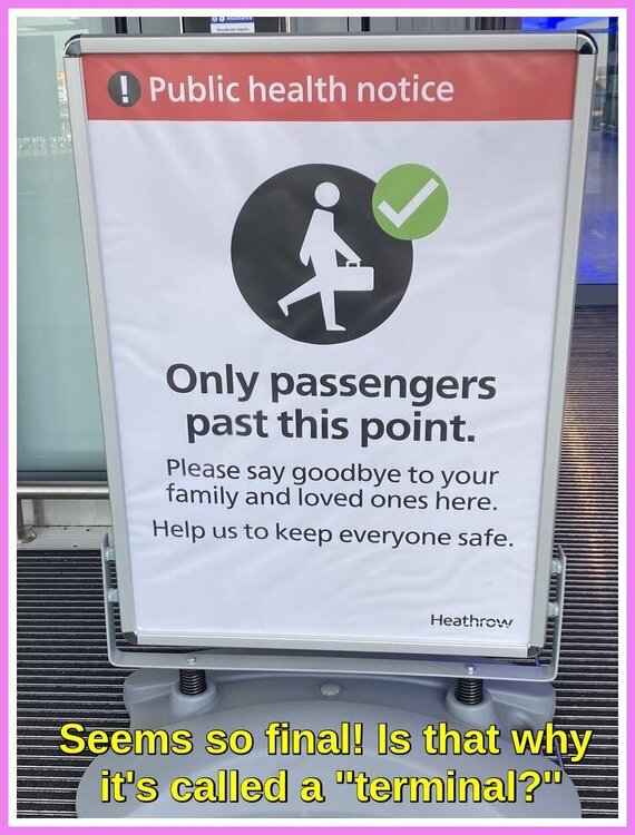 Heathrow Terminal.jpeg