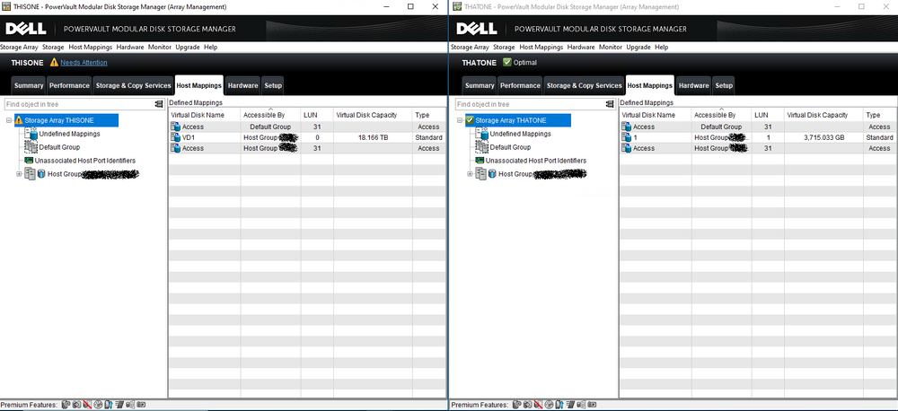 Host Mappings - THISONE and THATONE.png
