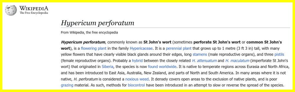 Hypericum Perforatum.png