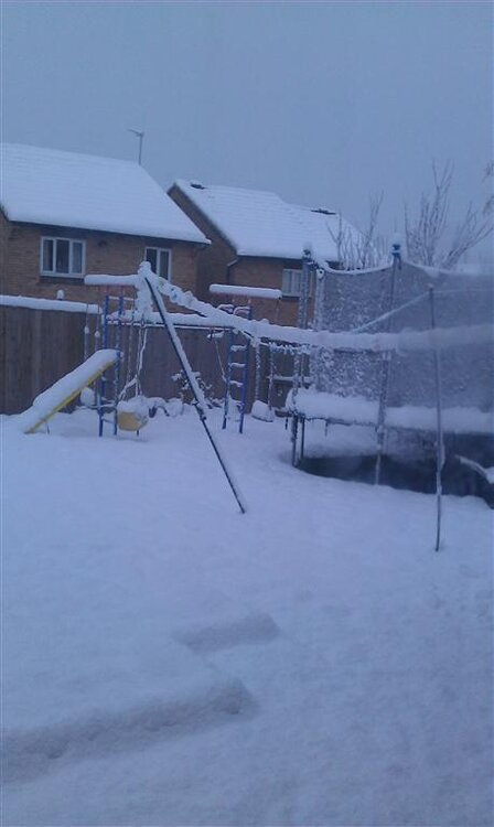 IMAG0029 (Medium).jpg