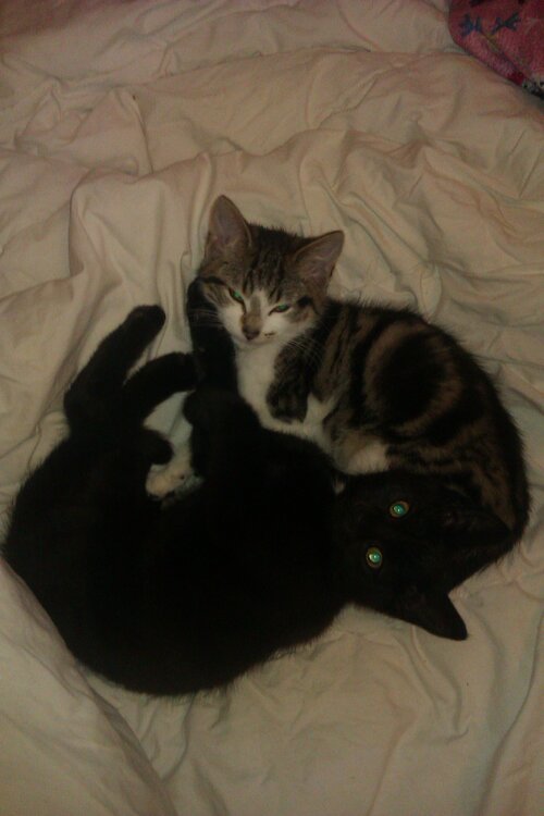 IMAG0117.jpg
