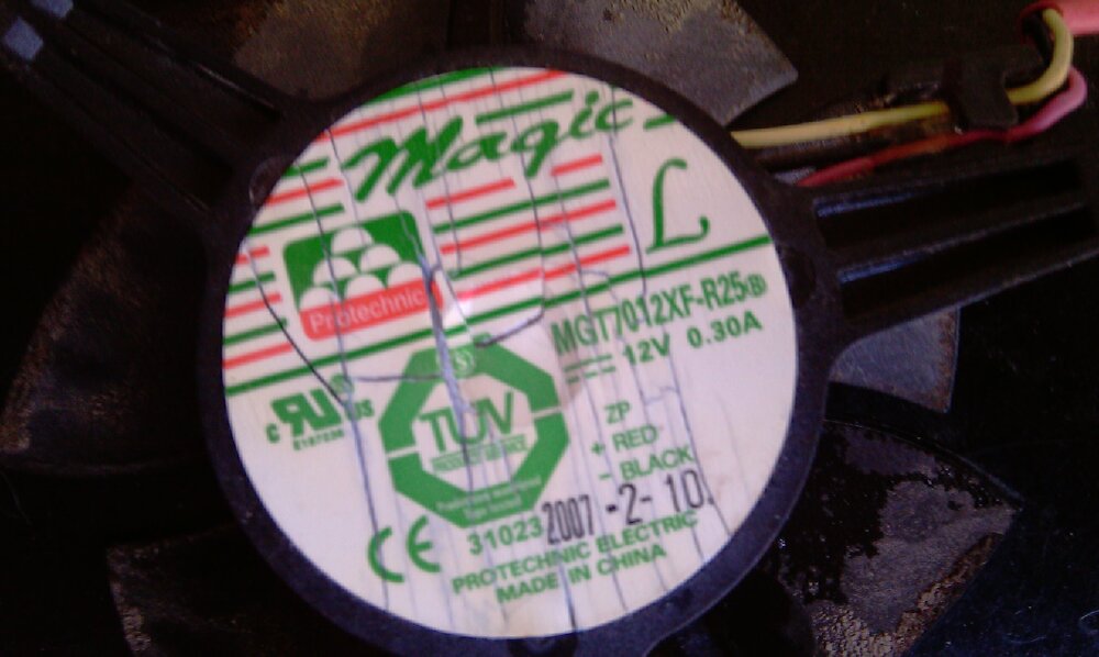 IMAG0286.jpg